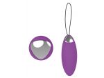 Фиолетовое перезаряжаемое виброяйцо Remote Duo Pleasure #119369