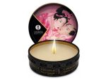 Только что продано Массажная свеча Rose Petals с ароматом розы - 30 мл. от компании Shunga за 1037.00 рублей