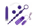 Эротический набор из 4 предметов Violet Bliss #31616