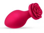 Только что продано Малиновая анальная пробка с основанием-розой - 8,3 см. от компании Bior toys за 915.00 рублей