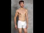 Мужские трусы-боксеры +size Doreanse Cotton Premium #360036