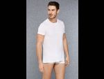 Классическая мужская футболка с горловиной на пуговках Doreanse Premium #361578