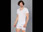 Мужская футболка свободного покроя Doreanse Cotton Premium #362649
