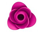 Ярко-розовый вакуум-волновой стимулятор Pro 2 Modern Blossom #367805