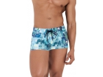 Синие мужские плавки-боксеры с принтом Cassiel Swimsuit Boxer #398435