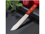 Нож для мяса и стейков Доляна «Мачете», лезвие 17,5 см #412831