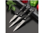 Набор кухонных ножей Доляна «Кулинарные изыски», 3 шт, лезвие 8 см, 11 см, 11 см, цвет чёрный #412844