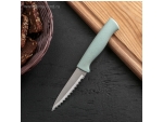Нож для чистки рыбы Доляна «Ринго», зубчатое лезвие 9 см, цвет МИКС #412863