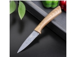 Нож с антиналипающим покрытием Доляна «Гранит», лезвие 9 см, цвет серо-коричневый #412886