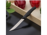 Нож кухонный Доляна «Грайм», лезвие 11,5 см, цвет чёрный #412933