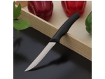 Нож для мяса Доляна «Грайм», зубчатое лезвие 11,5 см, цвет чёрный #412934
