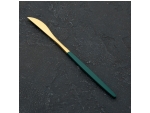 Нож столовый из нержавеющей стали Magistro «Блинк», длина 22 см, на подвесе, цвет золотой, зелёная ручка #415551