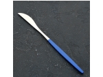 Нож столовый из нержавеющей стали Magistro «Блинк», длина 22 см, на подвесе, цвет серебряный, синяя ручка #415556