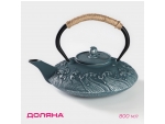 Чайник чугунный Доляна «Ялонг», 800 мл, с ситом, цвет голубой #418824