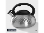 Чайник со свистком из нержавеющей стали Magistro Glow, 3 л, индукция, ручка soft-touch, цвет серебряный #418901