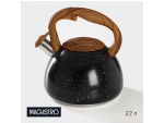 Чайник со свистком из нержавеющей стали Magistro Stone, 2,7 л, ручка soft-touch, индукция, цвет чёрный #418908