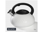 Чайник со свистком из нержавеющей стали Magistro Glow, 3 л, индукция, ручка soft-touch, цвет белый #419041