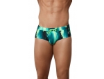 Зеленые плавки-брифы с принтом Torry Verde Swimsuit Brief #447031
